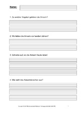 Arbeitsblätter-Amsel-für-1-2.pdf
